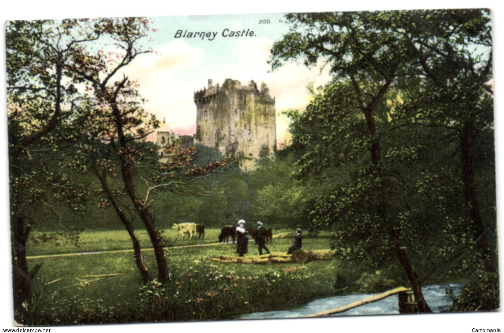 Blarney Castle - Cork