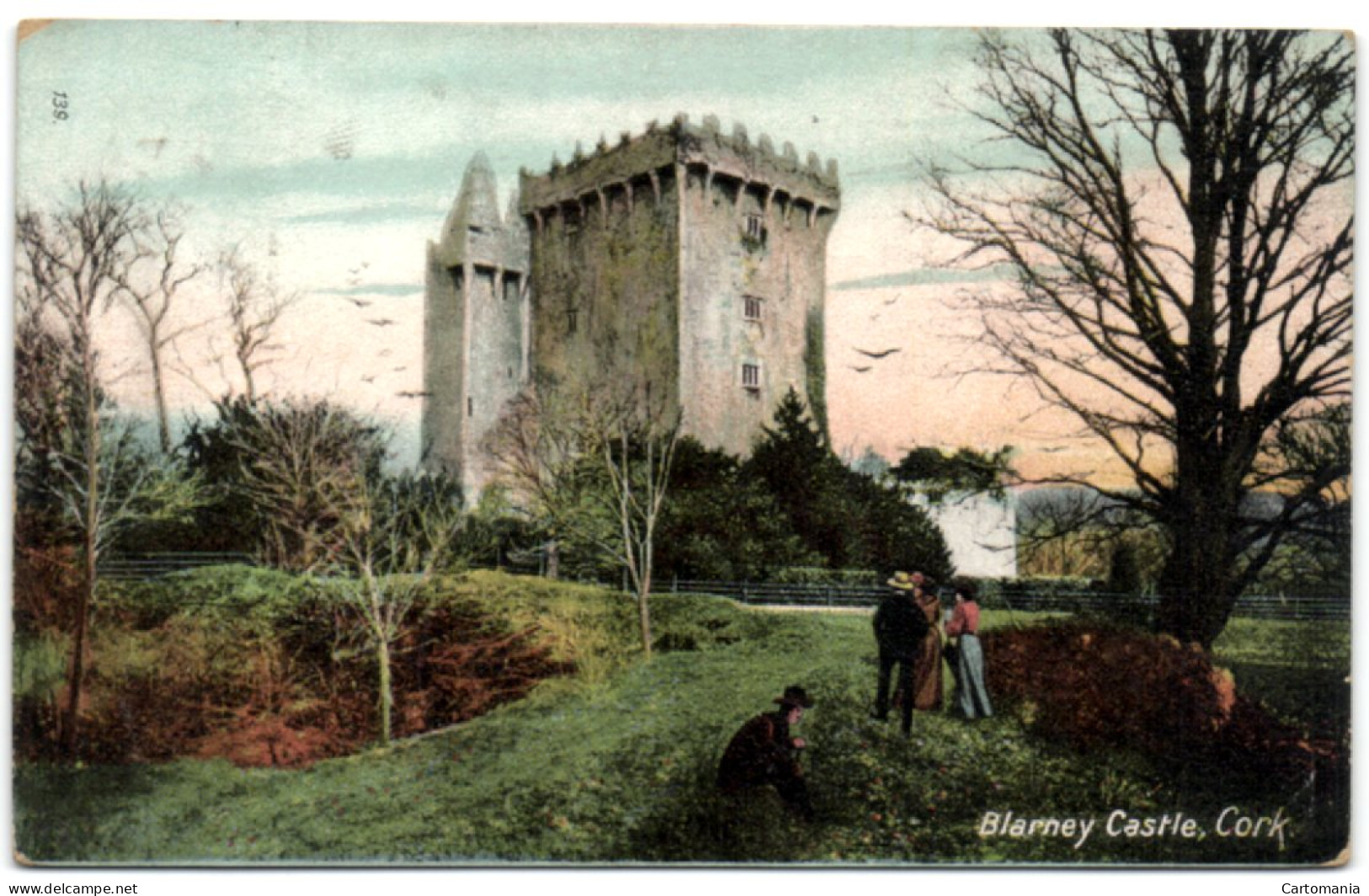 Blarney Castle - Cork - Cork