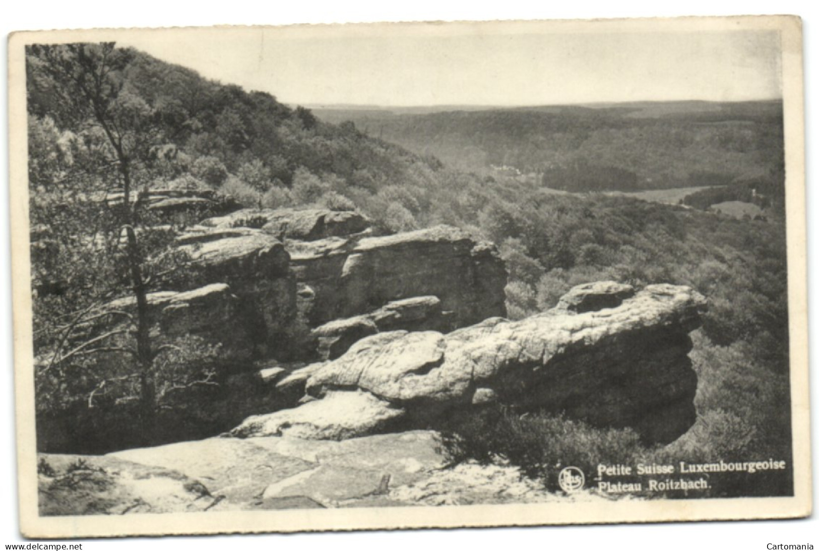 Petite Suisse Luxembourgeoise - Plateau De Roitzbach - Müllerthal