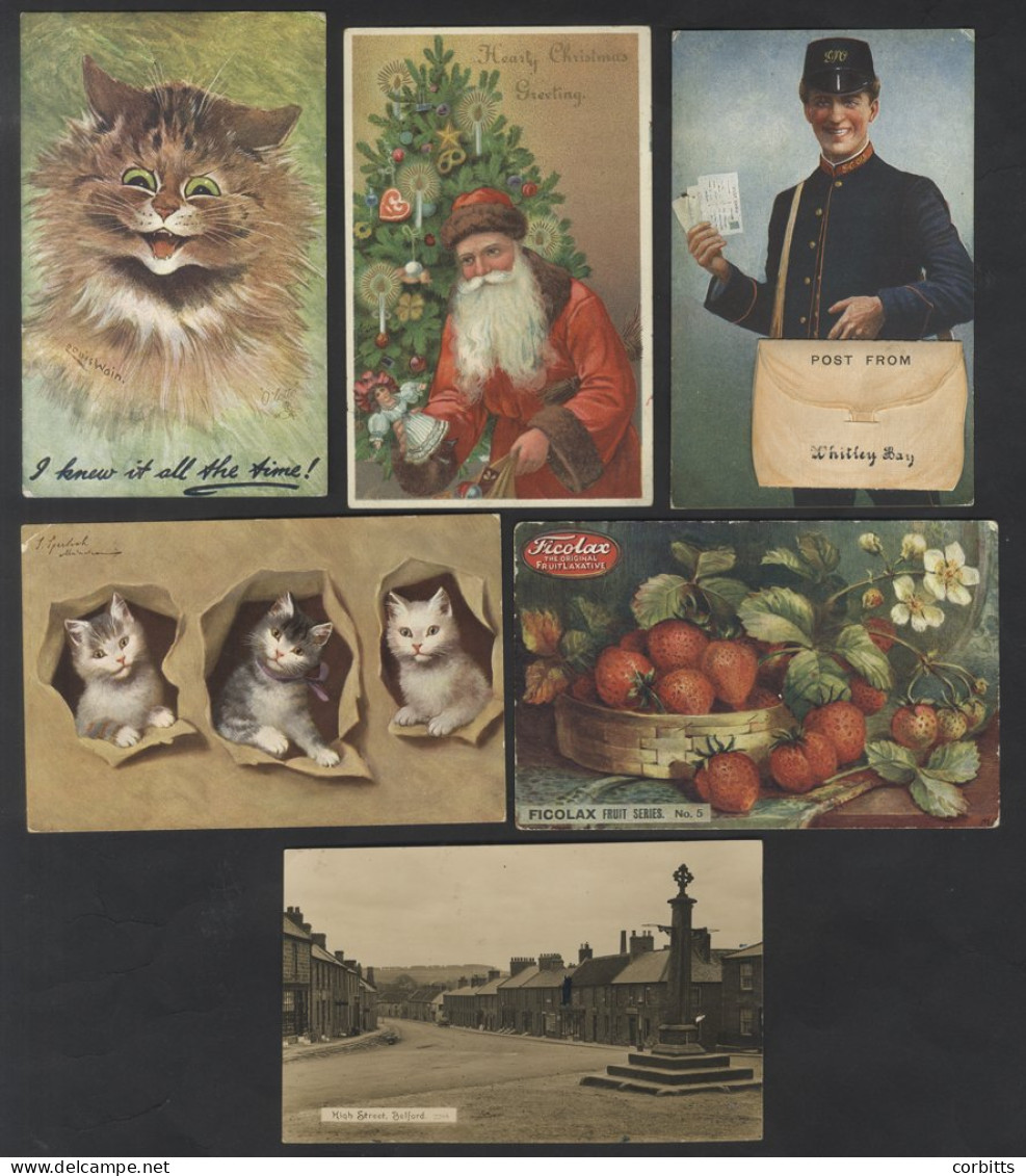 COLLECTION Of Cards (268) In Two Old Albums Incl. Comic, Cats, Greetings, Children, Charlie Chaplin, Birds, N.E England  - Non Classificati