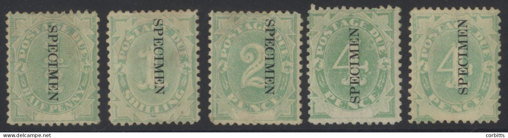 1902 Postage Dues ½d, 1d, 2d, 4d Wmk Upright + 4d Wmk Inverted, All Optd SPECIMEN (½d, 1d & 2d With Gum Tones), SG.S1s/D - Other & Unclassified