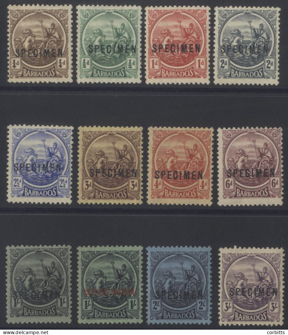 1921-24 MCCA/MSCA Set, Optd SPECIMEN, Fine O.g, SG.213s/228s, Cat. £250 (12) - Andere & Zonder Classificatie