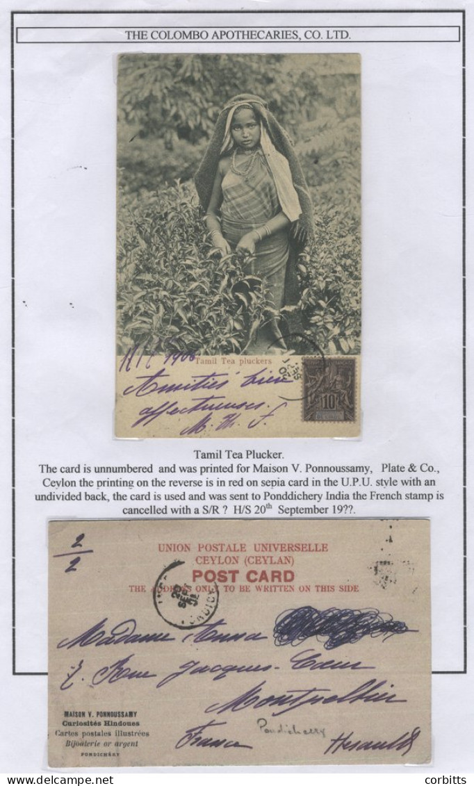 PPC's: Large Collection, Written Up On Display Leaves, Of Cards Produced By Colombo Apothecaries Co. Ltd, From C1900-30. - Autres & Non Classés