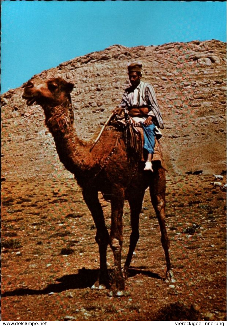 ! Ansichtskarte Iran, Persien, 1972, Kamel, Camel, Kurde, Berlin - Iran