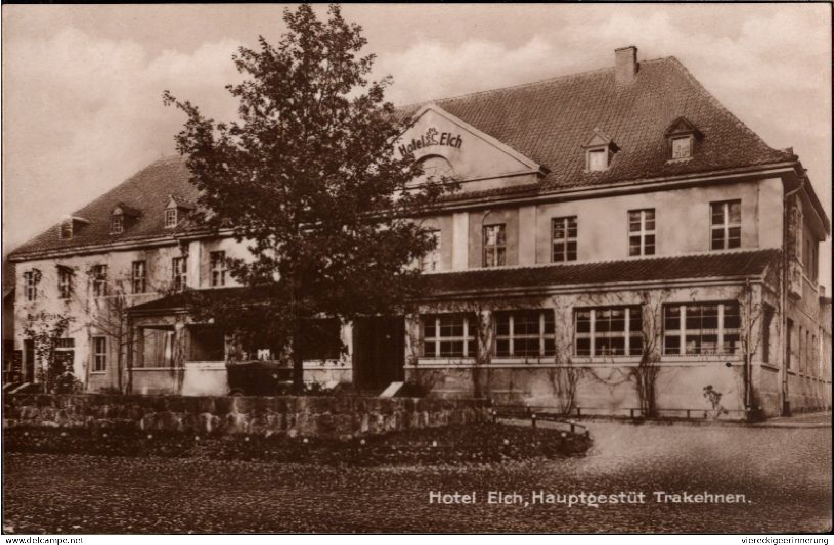 ! Alte Ansichtskarte Aus Trakehnen, Hotel Elch, Ostpreußen - Ostpreussen