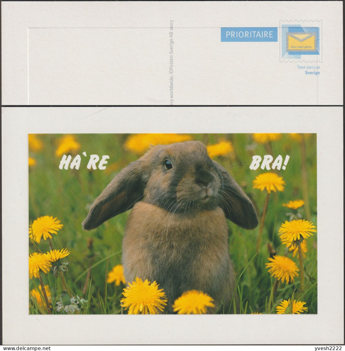 Suède 2003. Entier Postal Vendu Localement, Valable Pour Le Monde. Lapin - Conejos