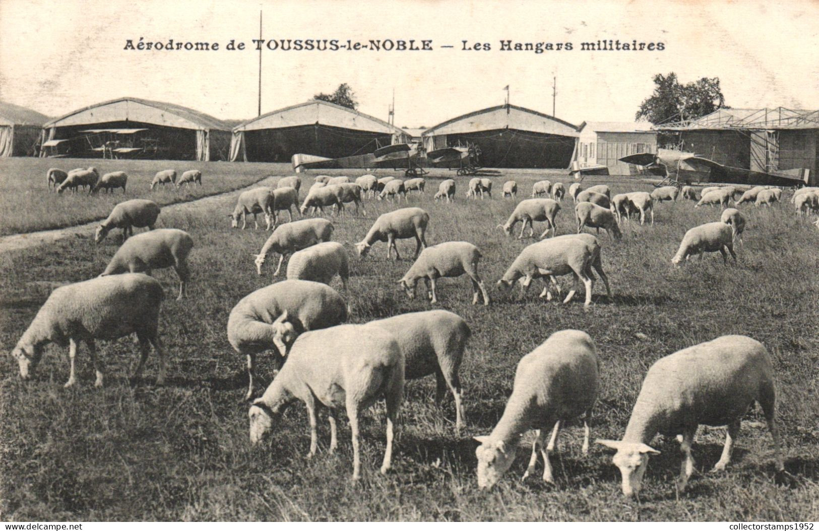 TOUSSUS LE NOBLE, AERODROME, MILITARY HANGARS, SHEEP, FRANCE - Toussus Le Noble