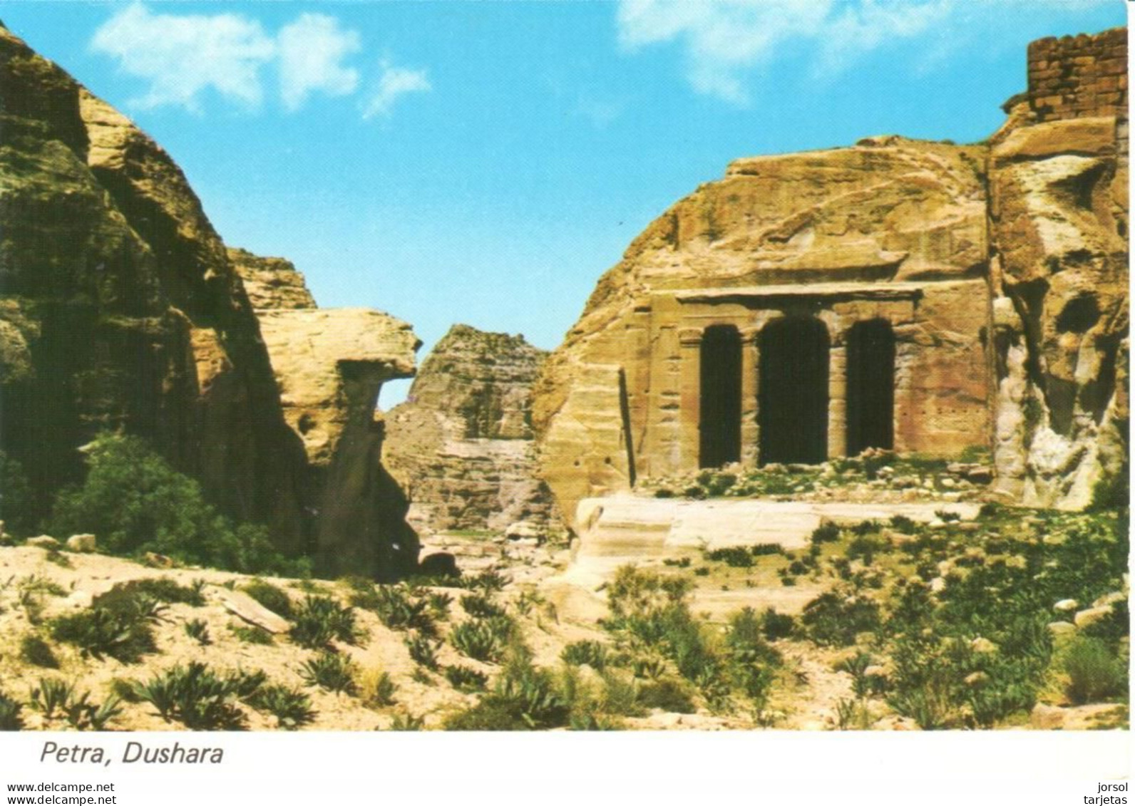 POSTAL  -PETRA  -JORDANIA  - DUSHARA - Jordanie