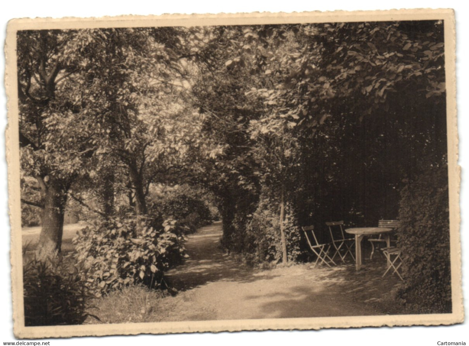 Pensionnat Des Ursulines - Haute-Croix (Brabant) - Une Vue Du Parc - Pepingen