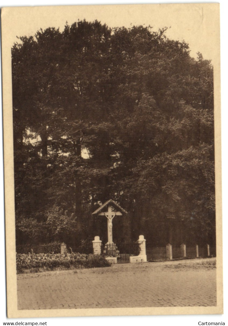 Kasteel Van Leeuwergen-bij-Sottegem - Kalvarieberg Der Beuken - Zottegem