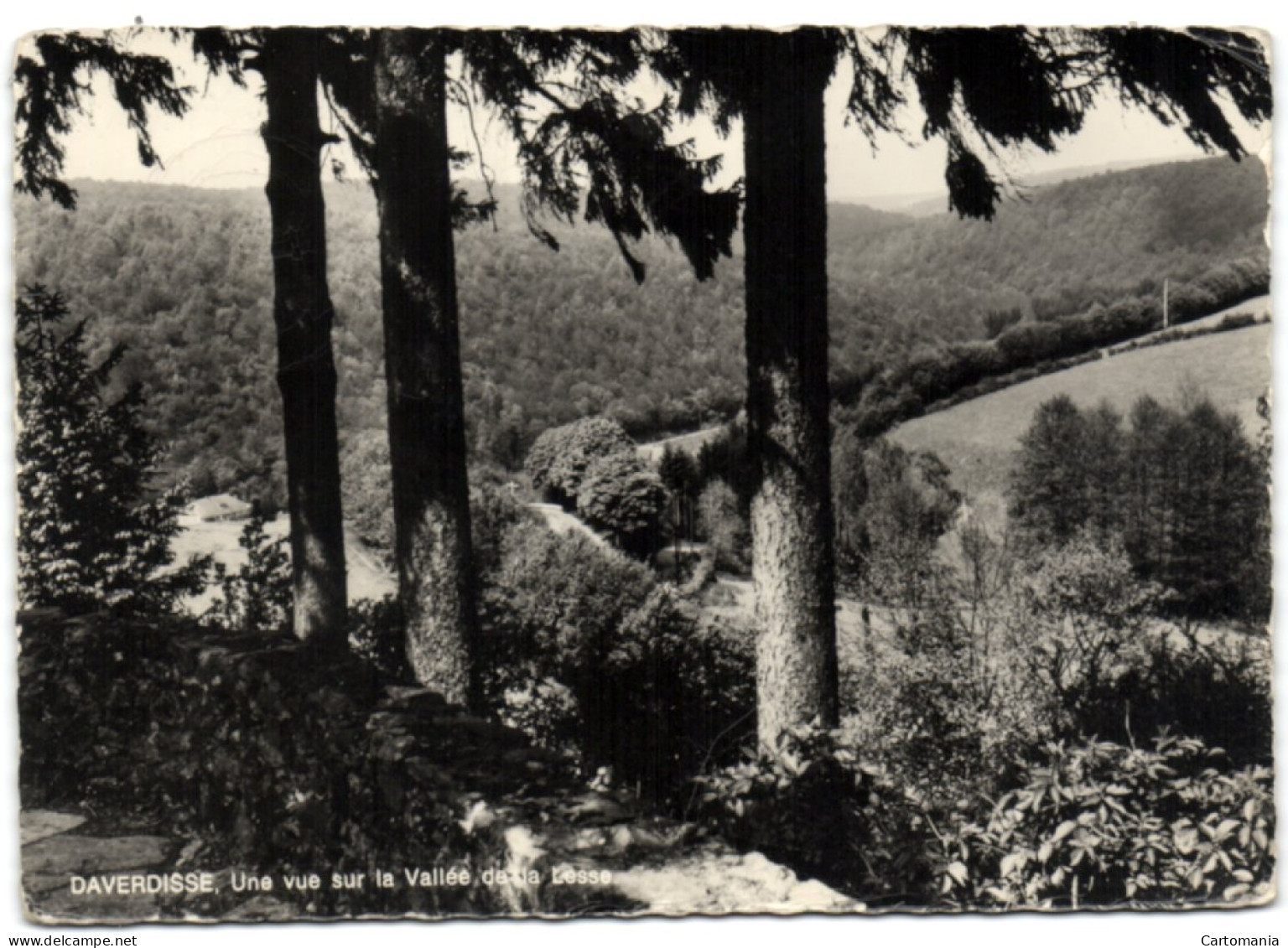 Daverdisse - Une Vue Sur La Vallée De La Lesse - Daverdisse