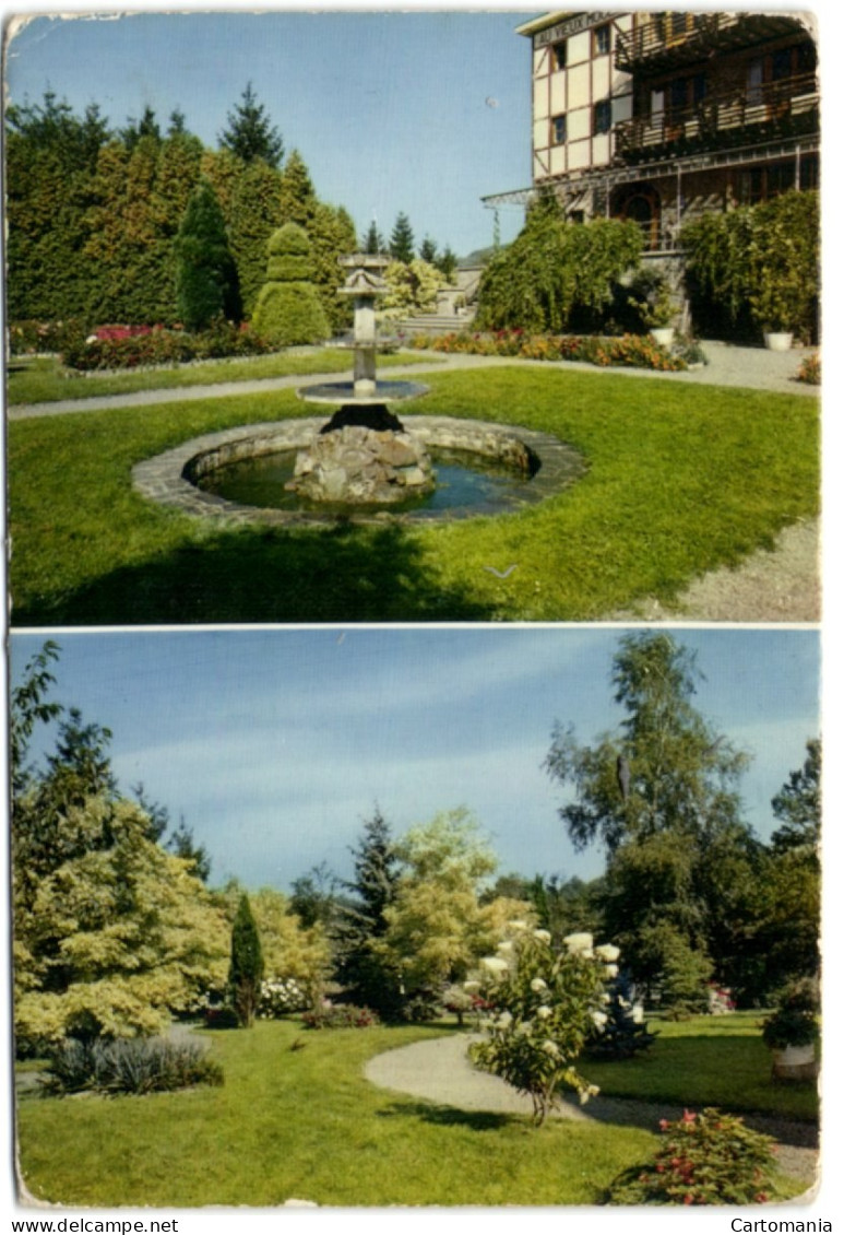 Amonines - Hostellerie Du Vieux Moulin - Erezée