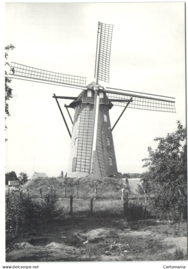 Malle (Westmalle) - Scherpenbergmolen - Malle