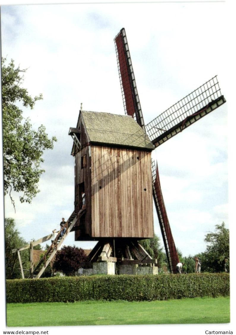 Koutermolen - Sint-Martens-Latem - Standaardmolen Op Teerlingen Korenmolen - Sint-Martens-Latem