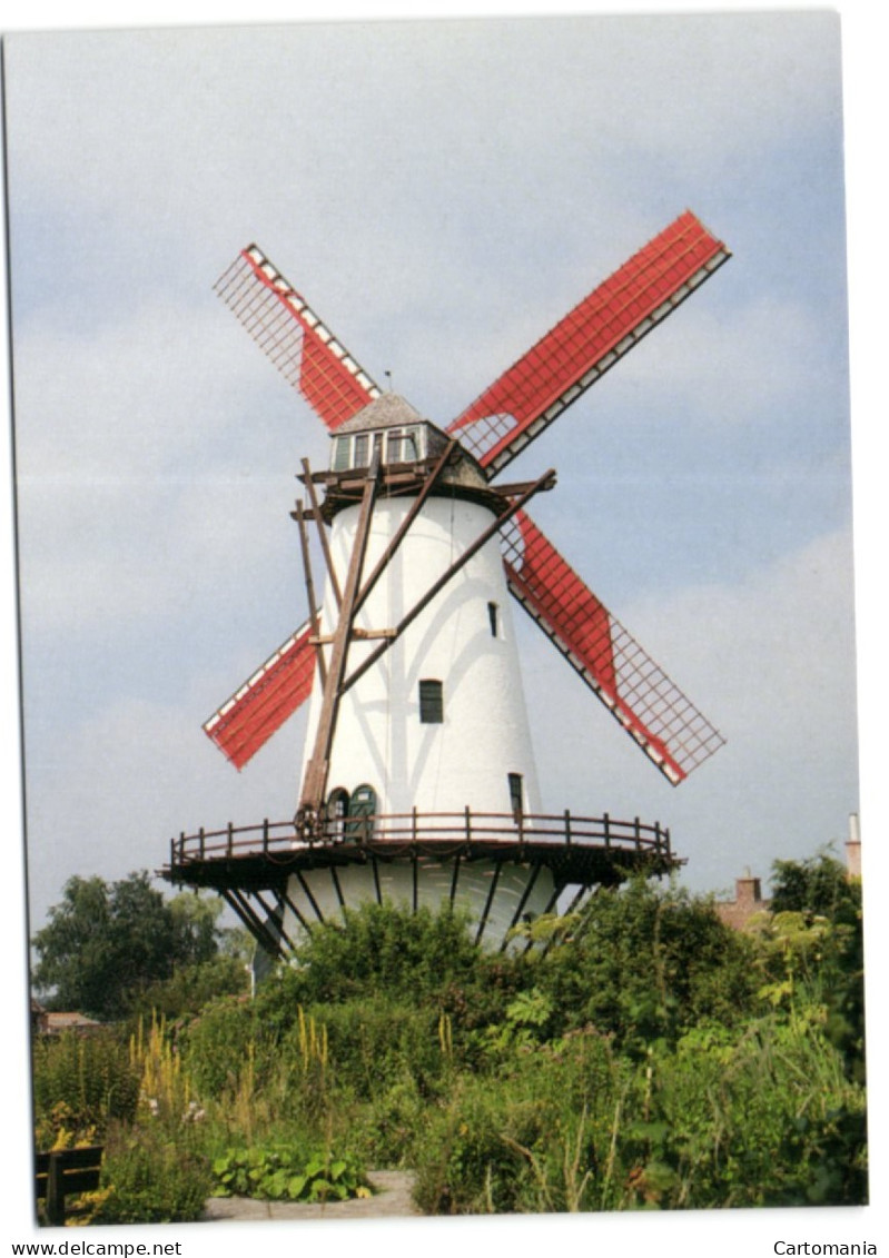 Wevelgem - Van Butsele's Molen - Wevelgem