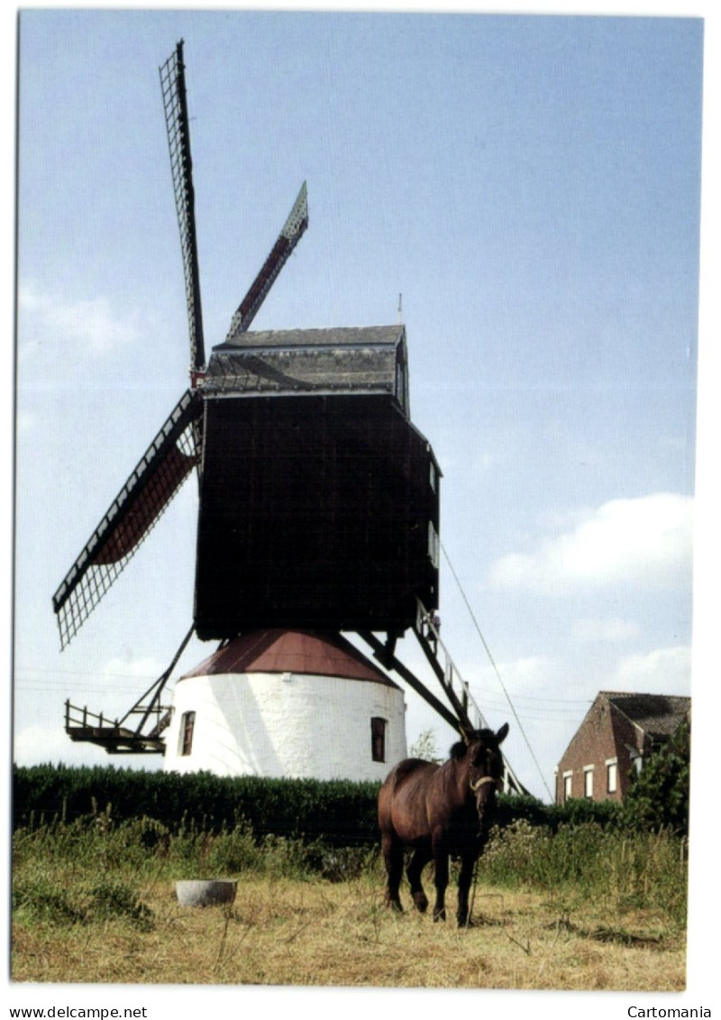 Meulebeke (W. VL.) - Herentmolen - Meulebeke