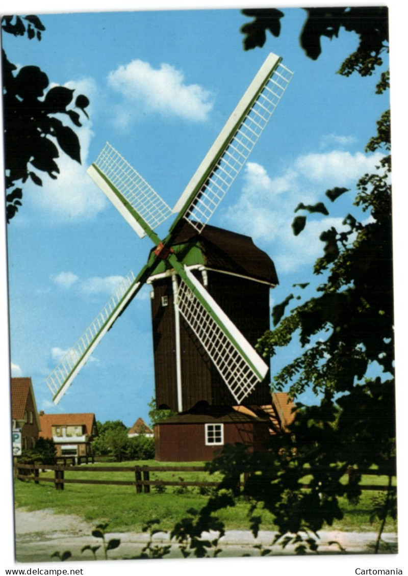 Dornum - Mühle In Ostfriesland - Aurich
