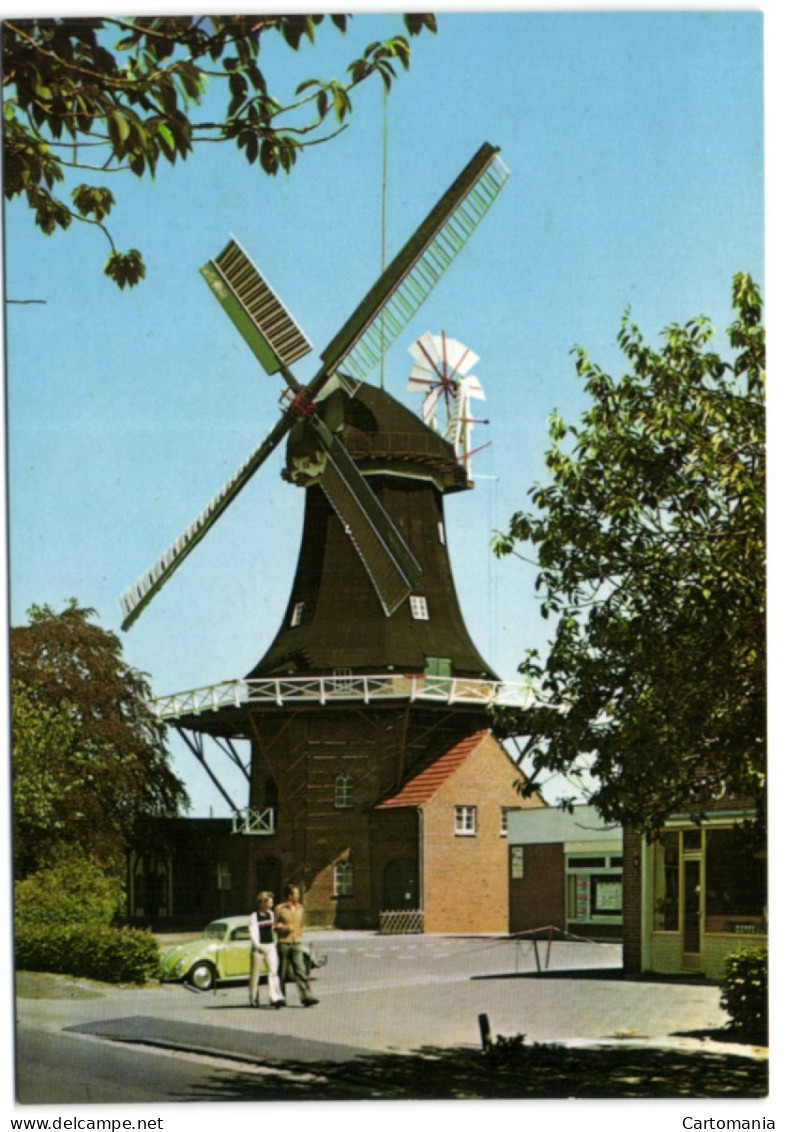 Wittmund - Kappenwindmühle Mit Jalousienflügel Und Windrose - Galerie-Holländer Von 1884 - Wittmund