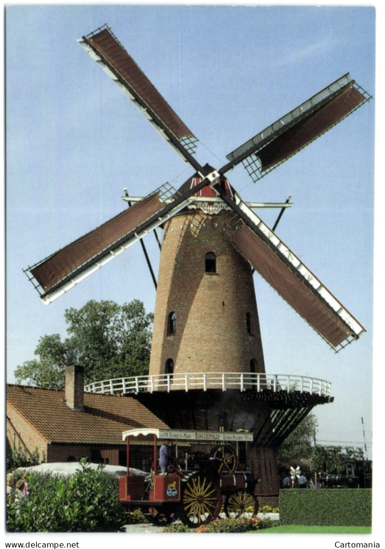 Bakkersmolen (Essen (Antw.) - Stenen Stellingmolen - Korenmolen - Essen