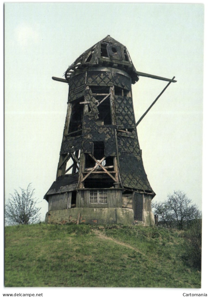 Aalten (Gelderland) - Oude Molen Of Molen Van Ter Haar - Aalten