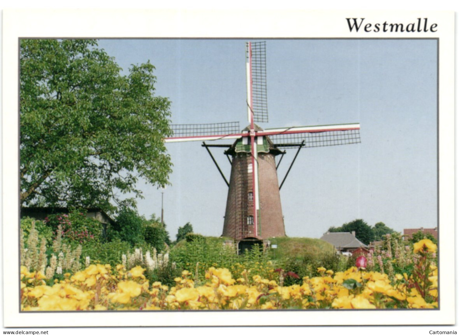 Westmalle - Scherpenberg Molen - Malle