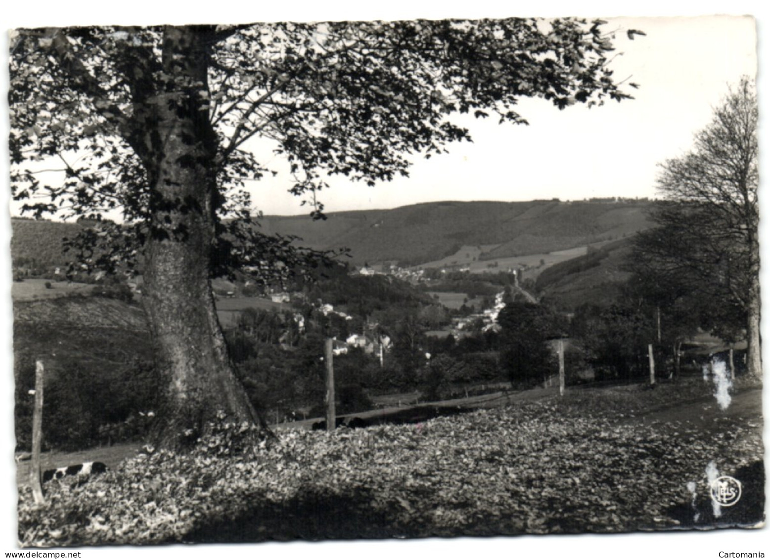 Trois-Ponts S/Salm - La Vallée De L'Amblève Vers Coo Vue Des Hezalles - Trois-Ponts