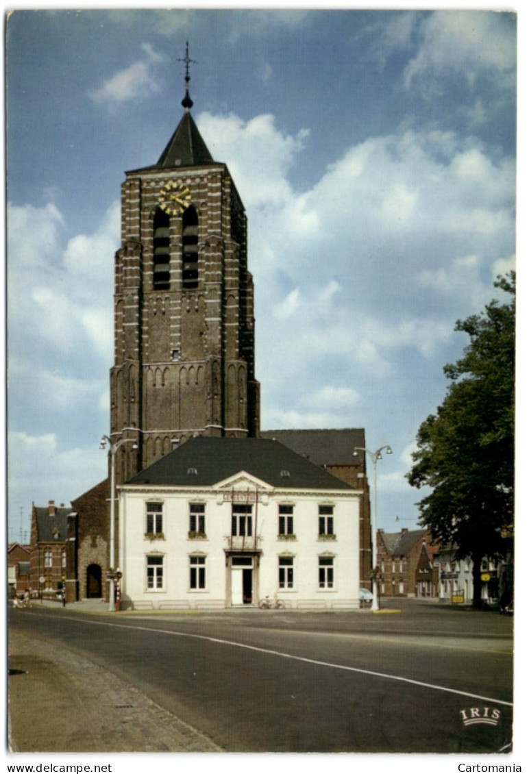 Mol - Kerk En Gemeentehuis - Mol