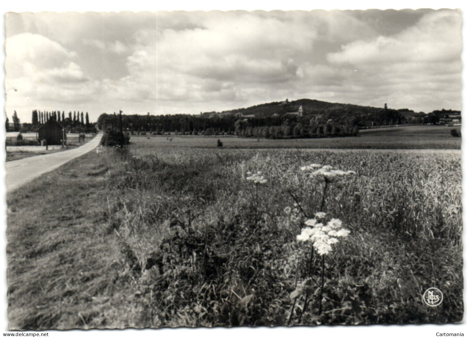 Kemmel - Zicht Op De Kemmelberg - Hooglede