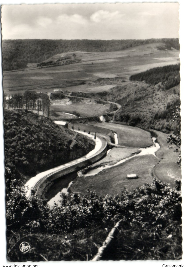 Martelange - Vue De La Roemerscheid - Martelange