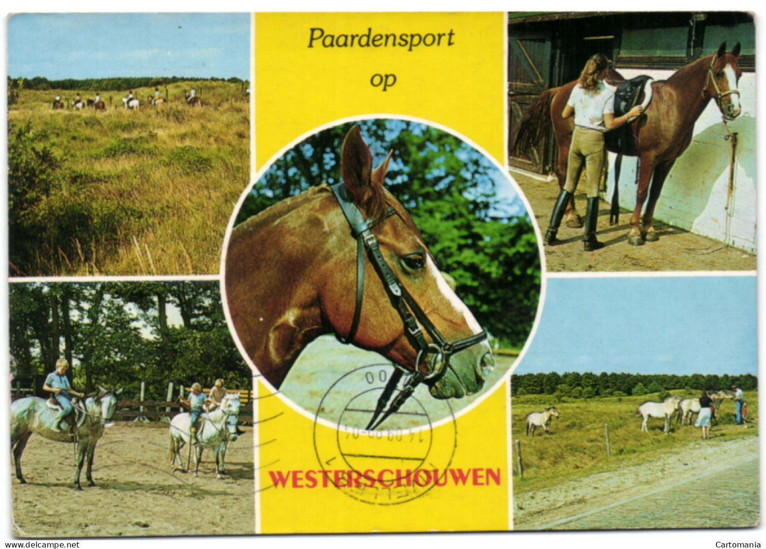 Paardensport Op Westerschouwen - Renesse