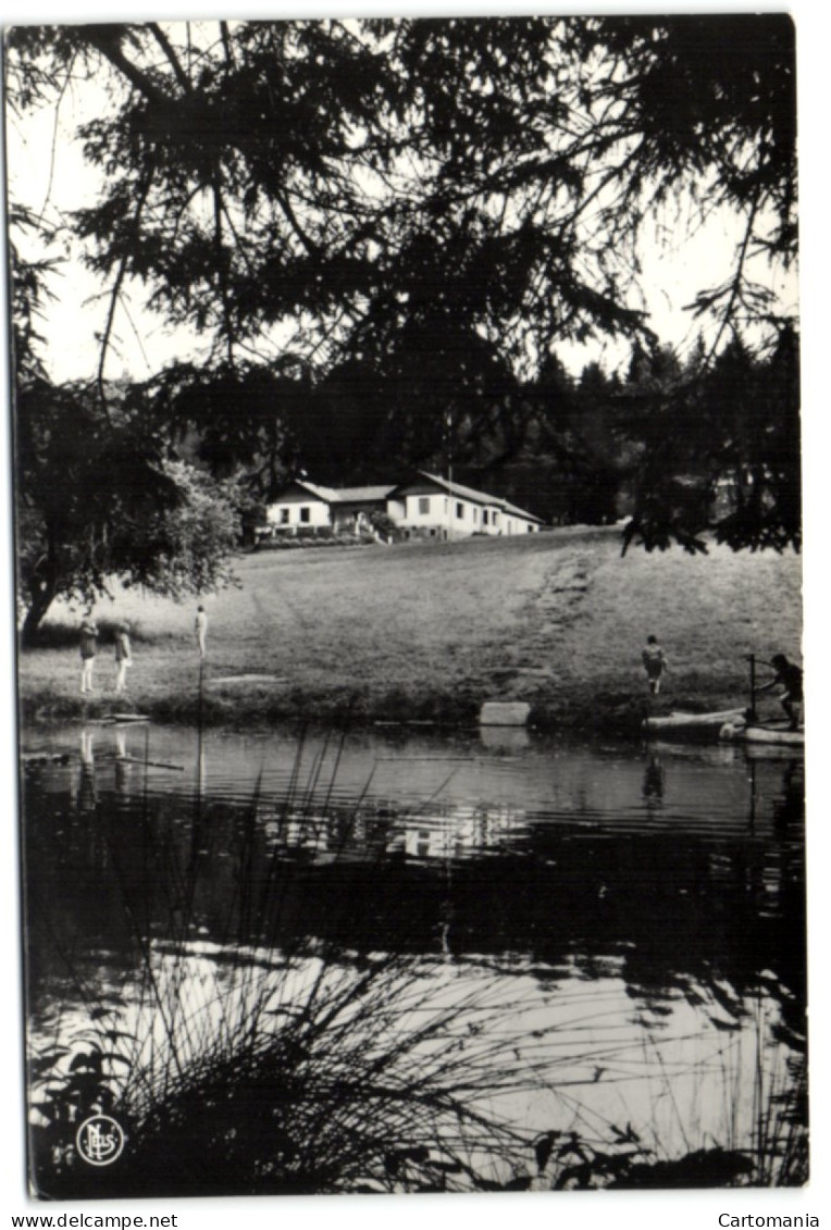 Louette-Saint-Pierre - Centre De Vacances Y.W.C.A. (Prov. De Namur) - L'étang - Gedinne