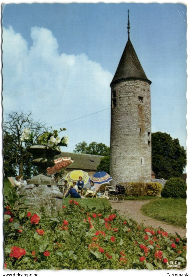 Oteppe - L'Hirondelle - Tour Château - Burdinne