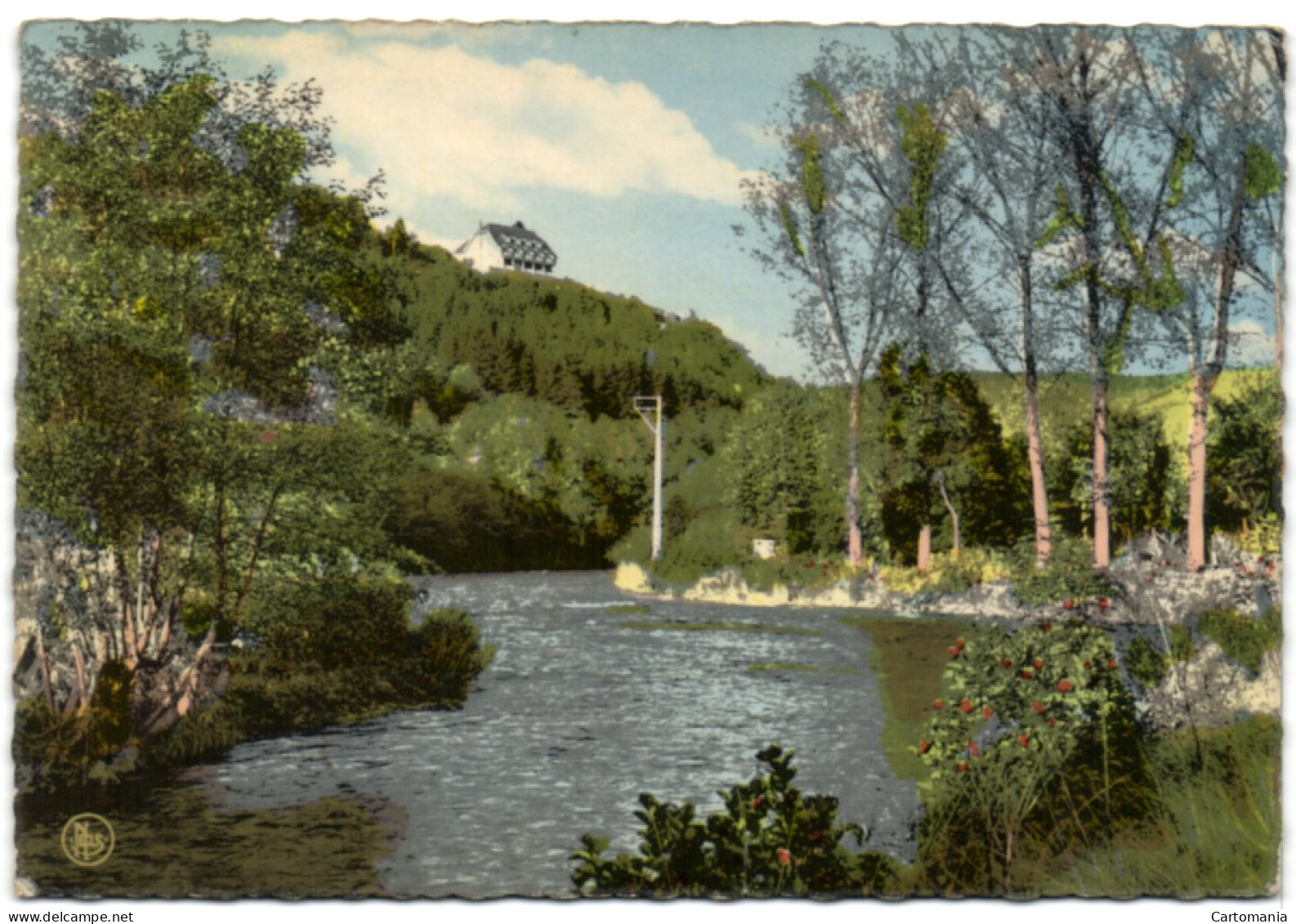 Trois-Ponts S/Salm - Confluent De La Salm Et De L'Amblève - Trois-Ponts