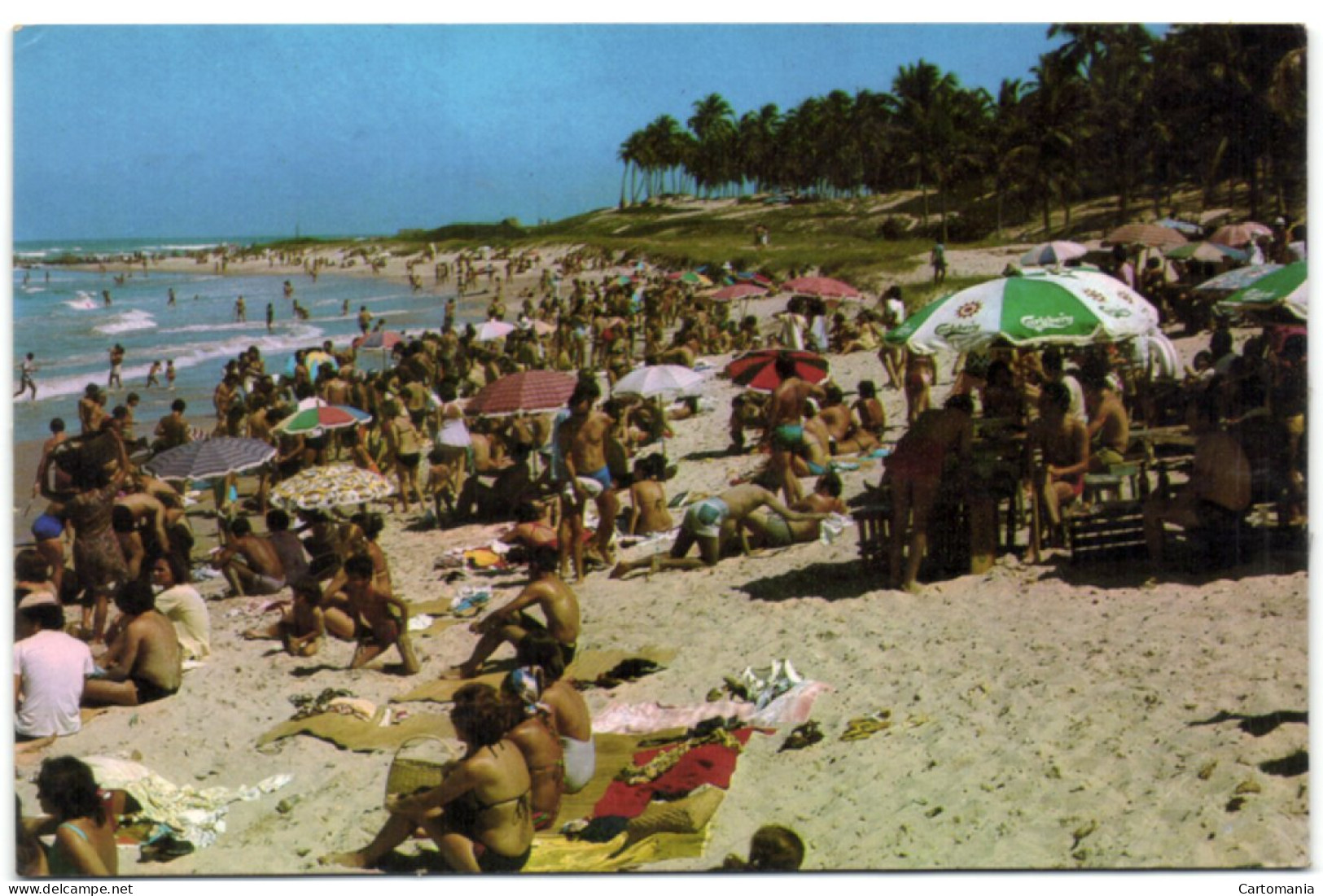 Salvador - Praia De Pla-Ka-For - Estado Da Bahia - Brasil - Salvador De Bahia