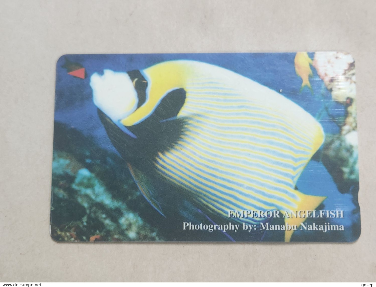 VIETNAM(4MVSB)GPT-Emperor Angelfish-(6)(4MVSB014912)(60.000 Vietnamese Dong)(tirage-30.000)used Card+1card Prepiad - Viêt-Nam