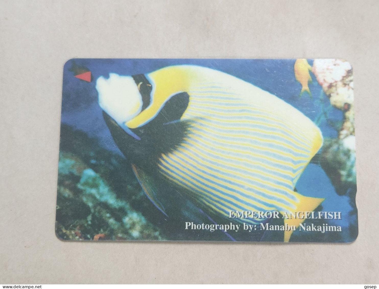 VIETNAM(4MVSB)GPT-Emperor Angelfish-(7)(4MVSB016351)(60.000 Vietnamese Dong)(tirage-30.000)used Card+1card Prepiad - Vietnam