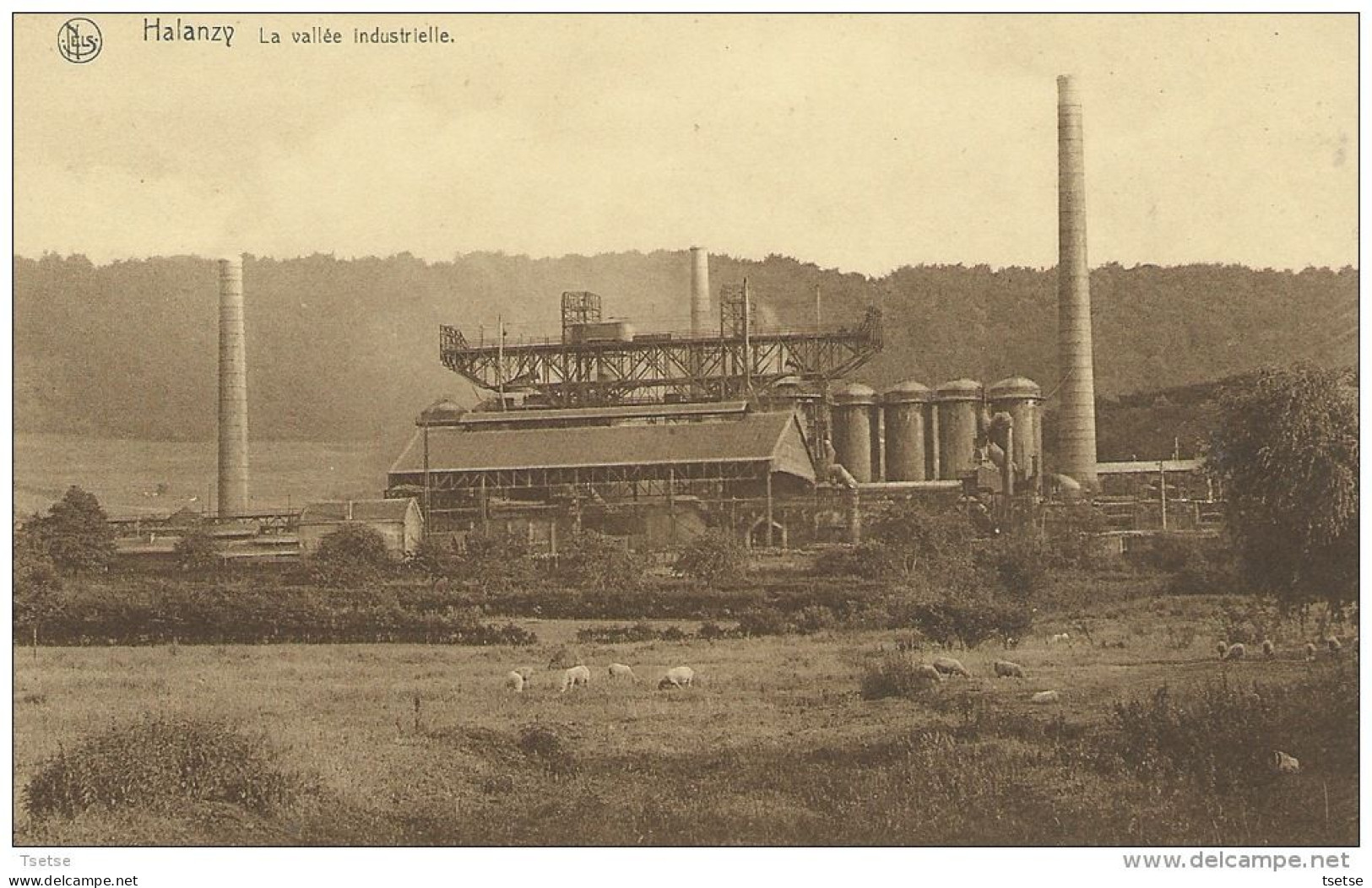 Halanzy  / Athus - La Vallée Industrielle - Usine Sidérurgique ( Voir Verso ) - Aubange