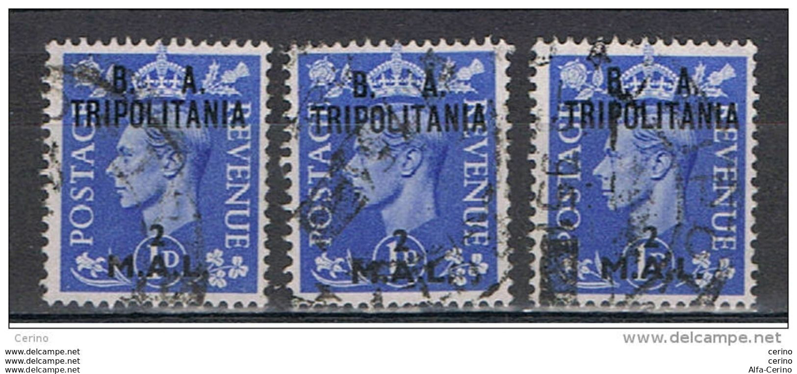 TRIPOLITANIA  B. A.:  1951  SOPRASTAMPATI  -  2 M./2 P. OLTREMARE  US. -  RIPETUTO  3  VOLTE  -  SASS. 28 - Tripolitania