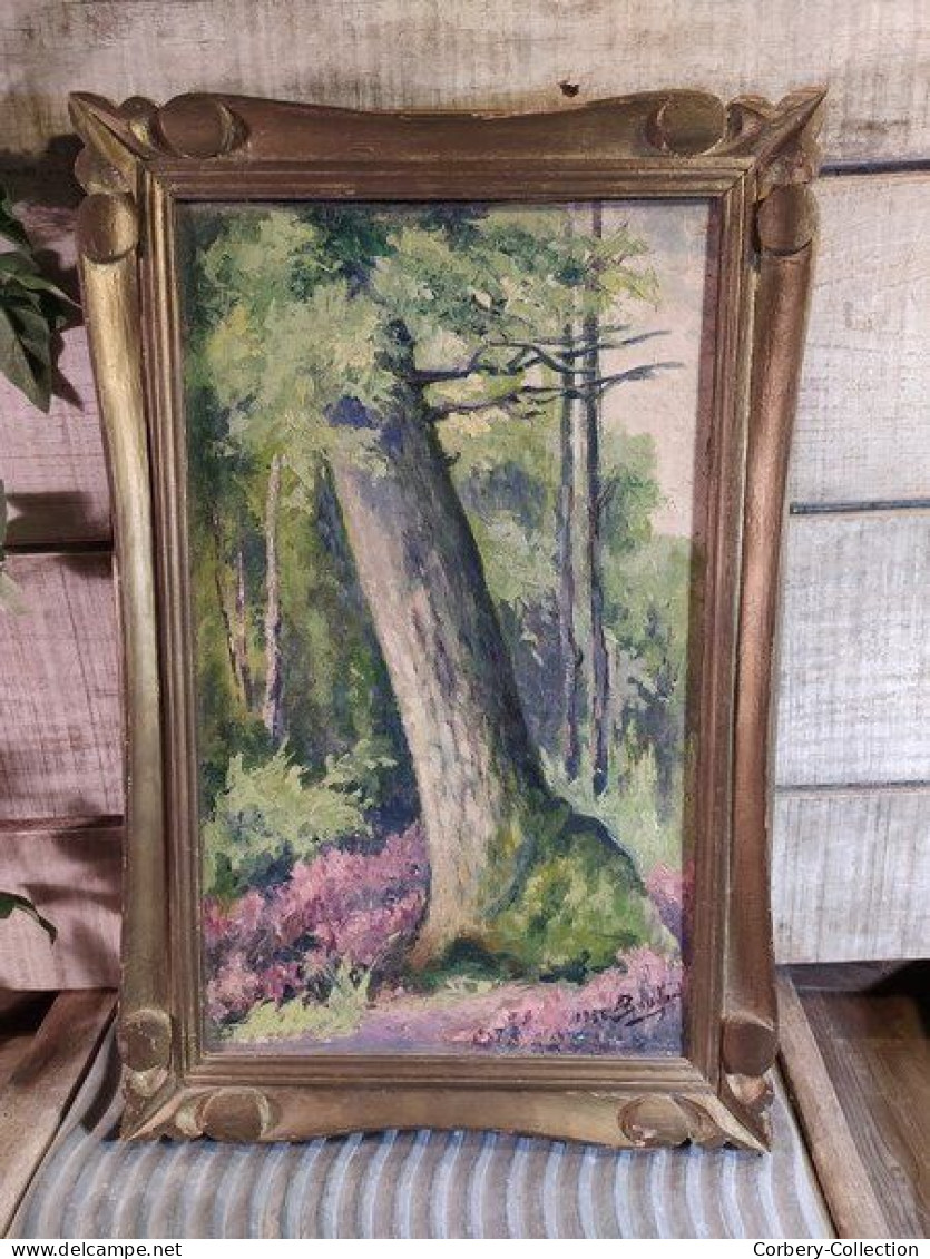 Tableau Etude Paysage Forêt De Achères Signé Bouillard 1958 / Saint Germain En Laye 01 - Oils