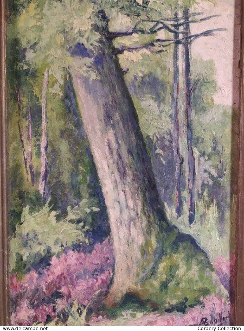 Tableau Etude Paysage Forêt De Achères Signé Bouillard 1958 / Saint Germain En Laye 01 - Oils