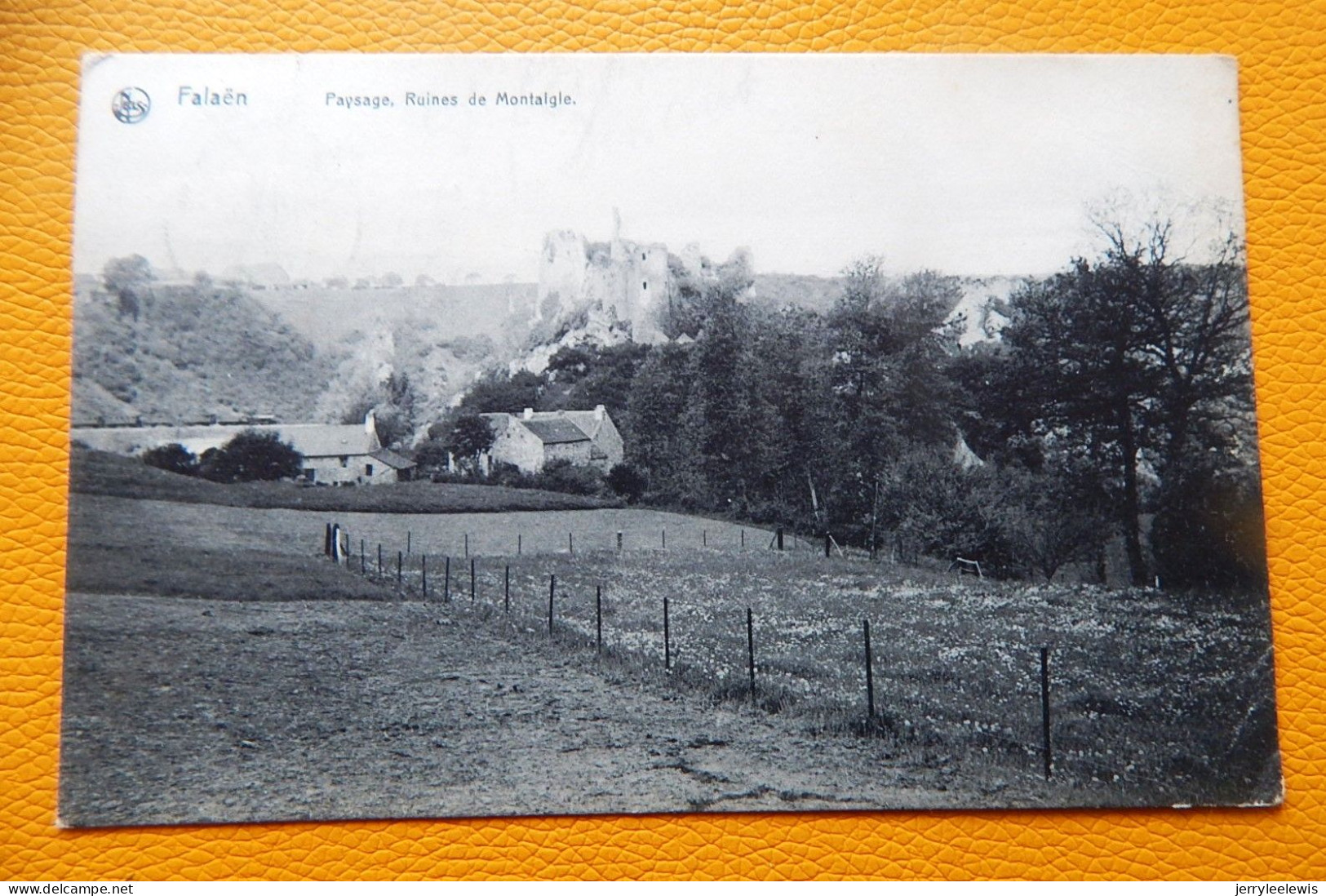 FALAËN  -  Paysage  -  Ruines De Montaigle - 1908 - Onhaye