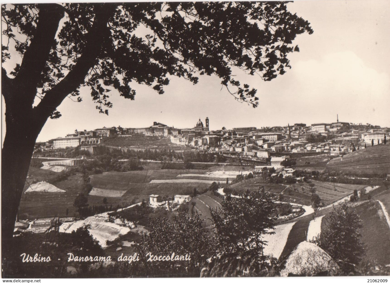 URBINO -PANORAMA DAGLI ZOCCOLANTI - NV - Urbino