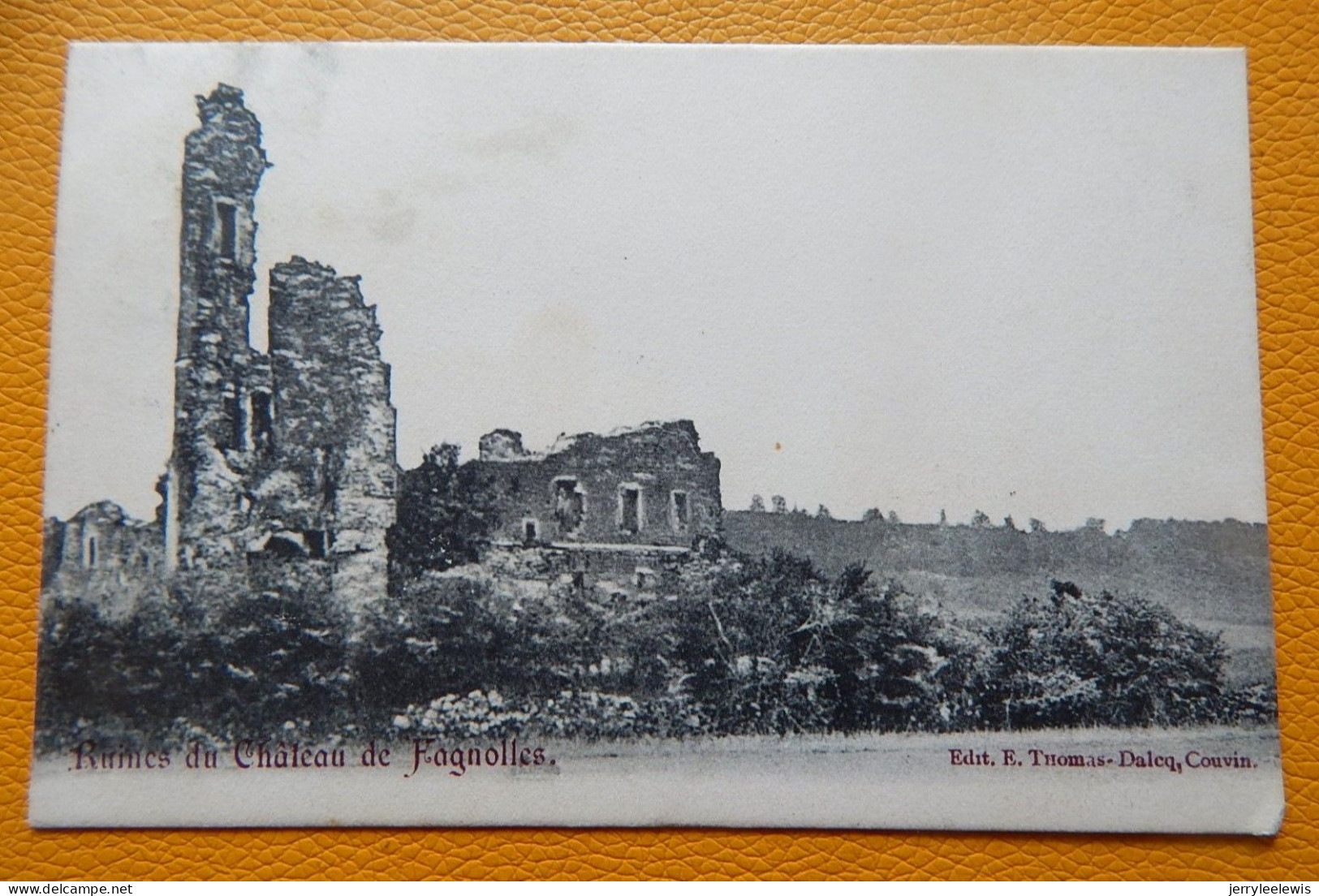 FAGNOLLE  -  Ruines Du Château De Fagnolle  -  1904 - Philippeville