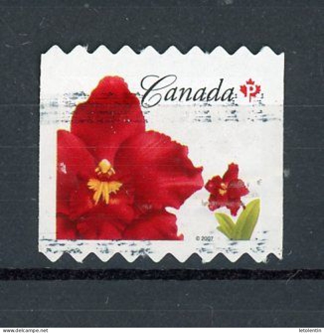 CANADA - FLORE - N° Yvert 2324 Obli. - Oblitérés