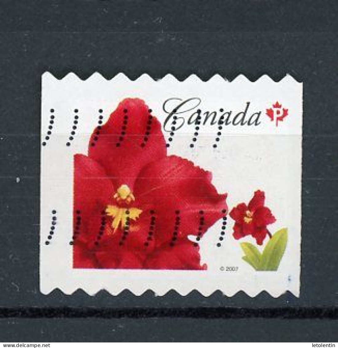 CANADA - FLORE - N° Yvert 2324 Obli. - Oblitérés