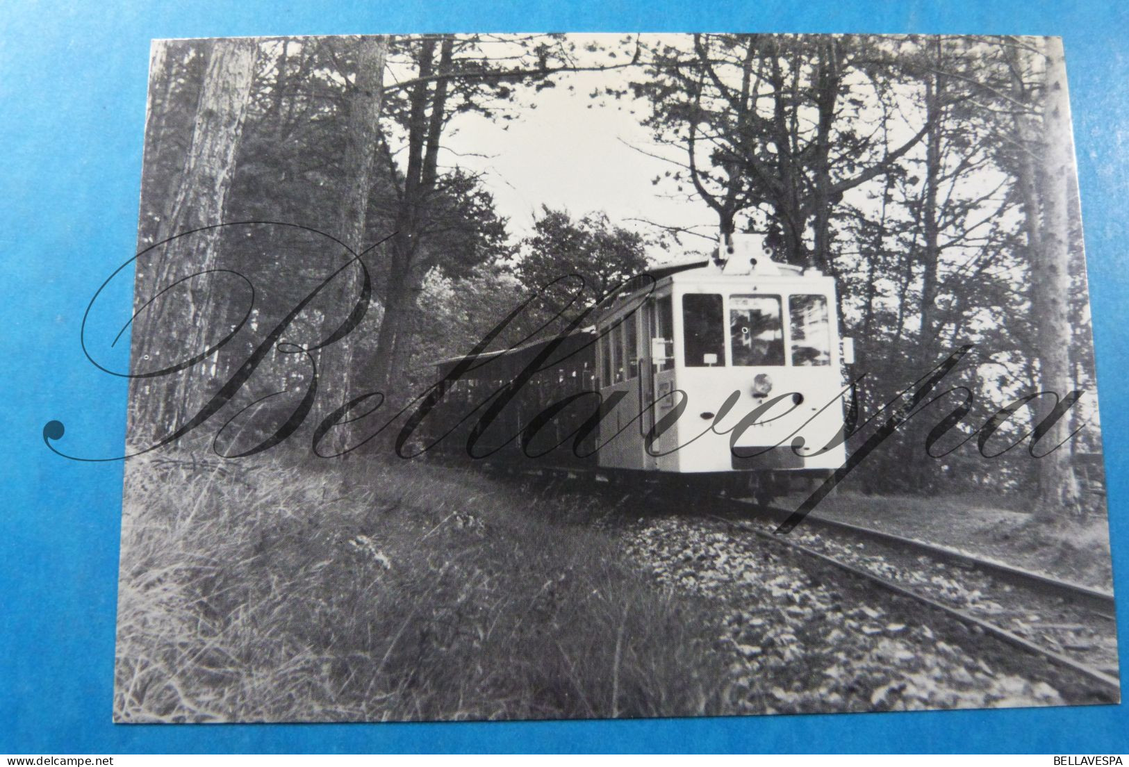 SNCV Tram Tramway Motrice etc..Lot x 15 cpsm