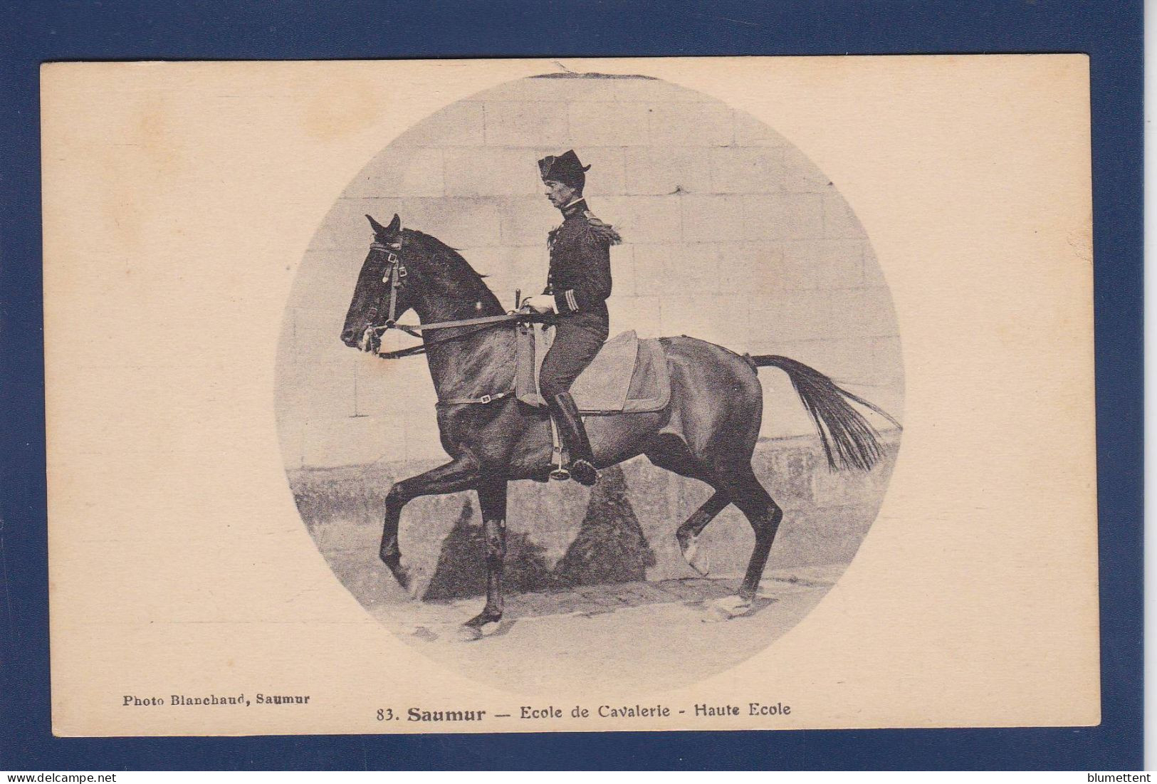 CPA 1 Euro Animaux Cheval Chevaux Horse Militaria Non Circulé Saumur - Horses