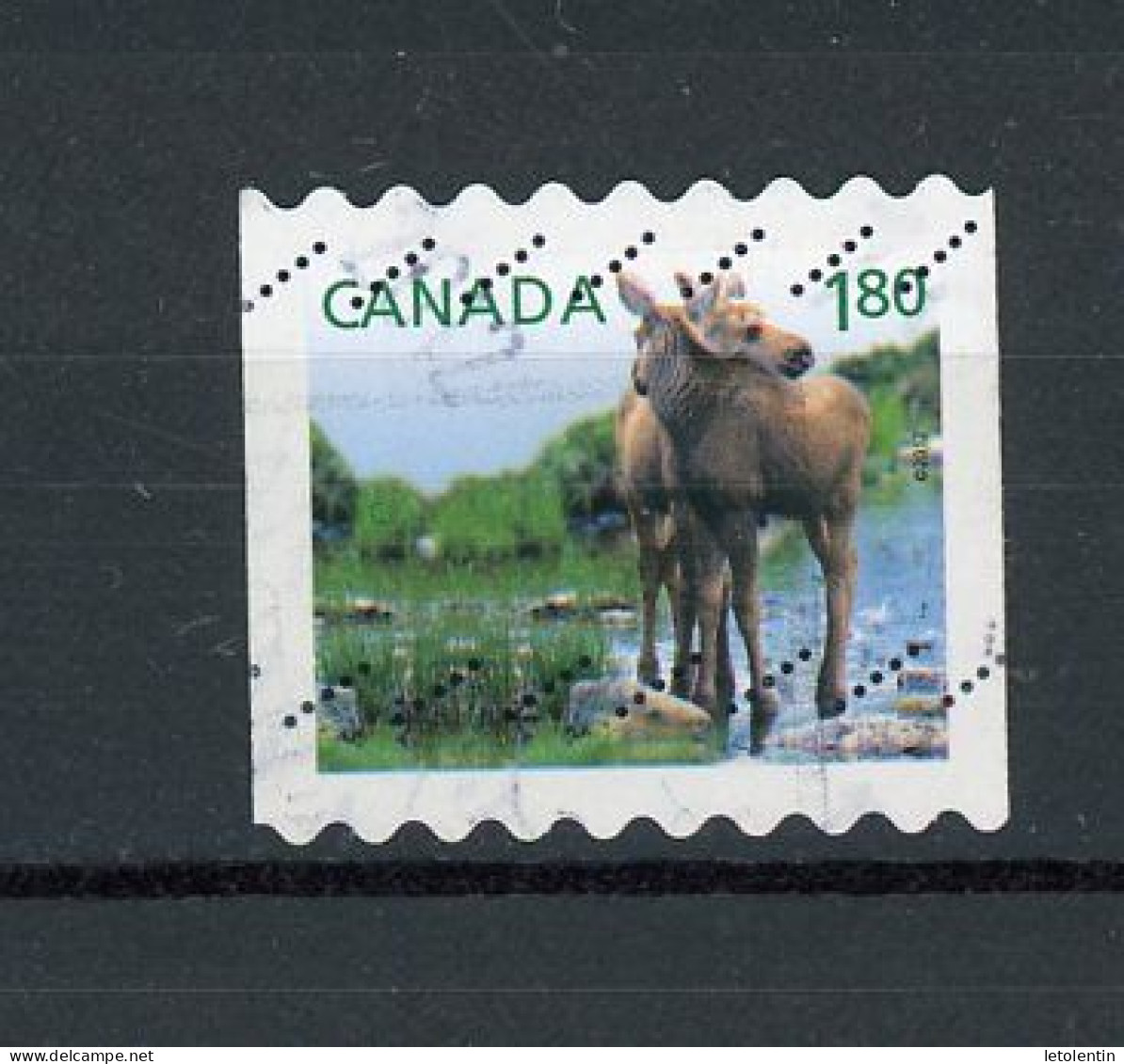 CANADA - FAUNE - N° Yvert 2666 Obli. - Used Stamps