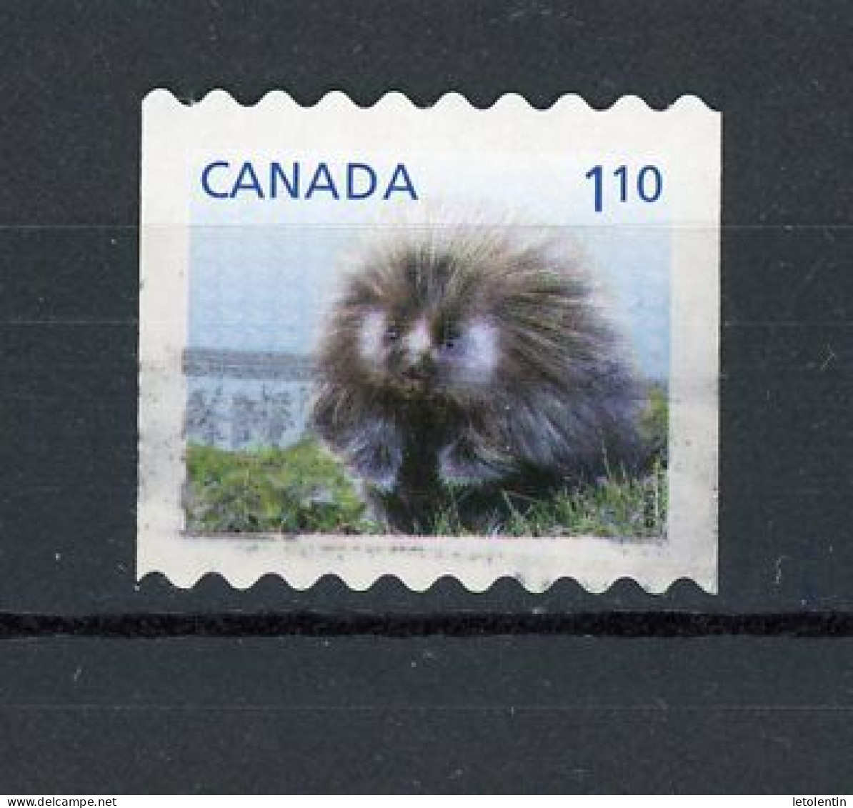 CANADA - FAUNE - N° Yvert 2804 Obli. - Used Stamps