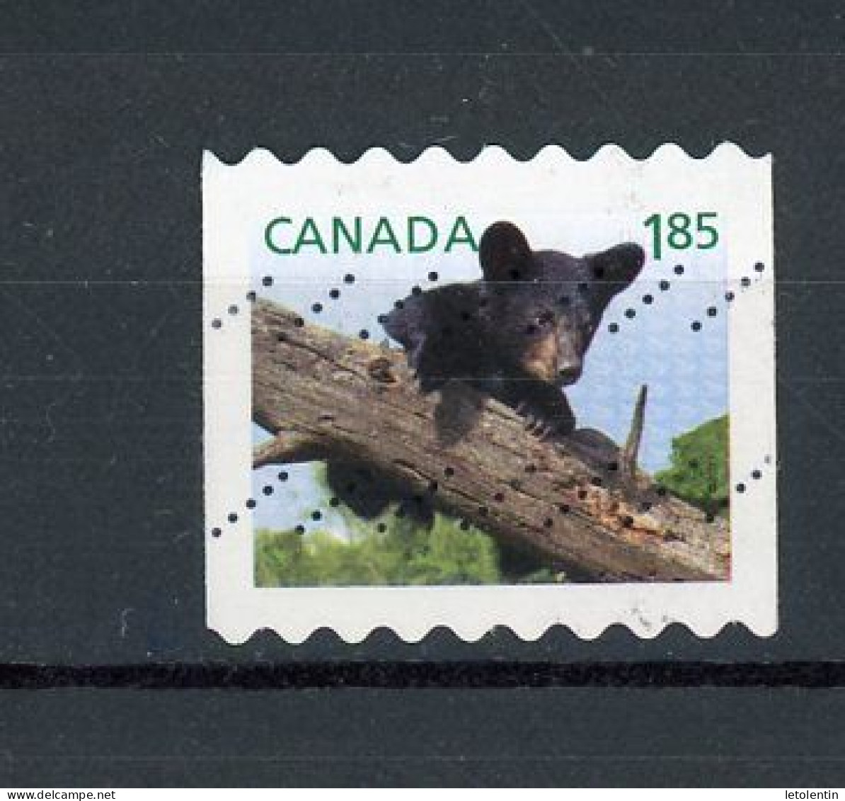CANADA - FAUNE - N° Yvert 2806 Obli. - Used Stamps